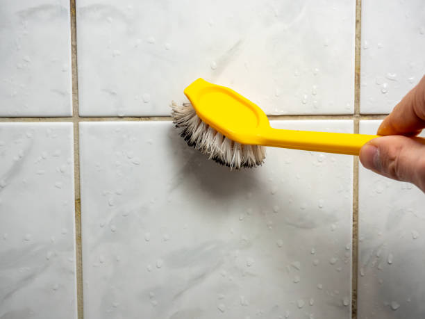 Best Home Mold Removal  in Clifton Gardens, NY