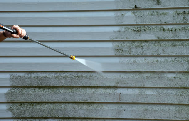 Best Mold Damage Repair  in Clifton Gardens, NY
