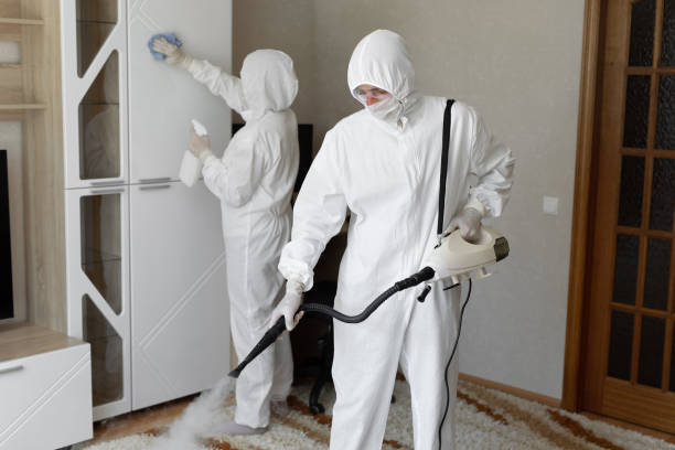 Best Professional Mold Removal  in Clifton Gardens, NY
