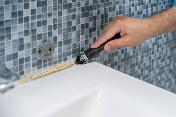 Best Best Mold Removal Companies  in Clifton Gardens, NY